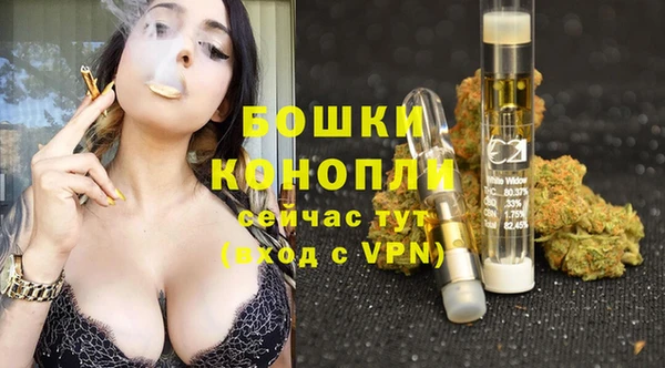 ПСИЛОЦИБИНОВЫЕ ГРИБЫ Алзамай