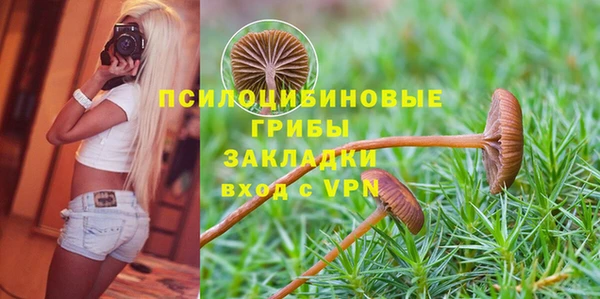 СК Абинск