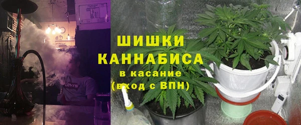 ПСИЛОЦИБИНОВЫЕ ГРИБЫ Алзамай