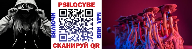 наркотики  Карталы  Галлюциногенные грибы мухоморы 